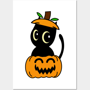 Funny black cat is in a pumpkin Posters and Art